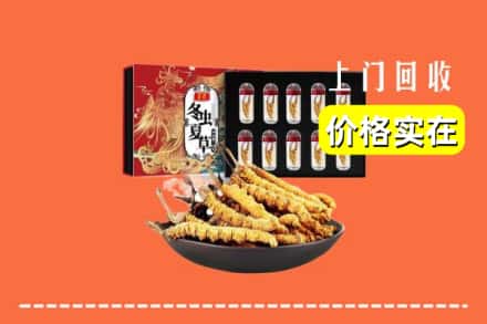 华阴市回收冬虫夏草